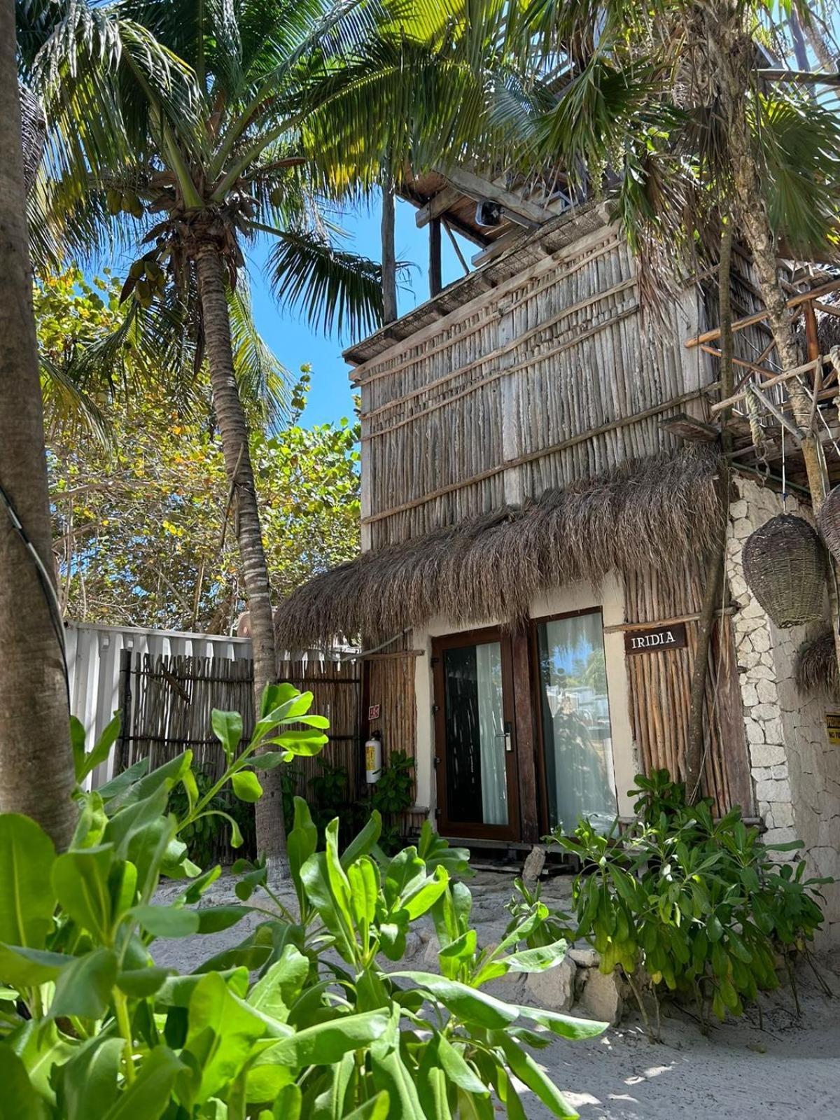 Alquimia Hotel Boutique Tulum Zewnętrze zdjęcie